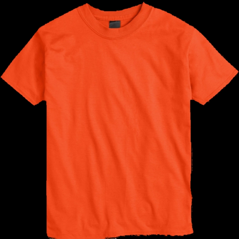 20 brand new hanes youth tshirts